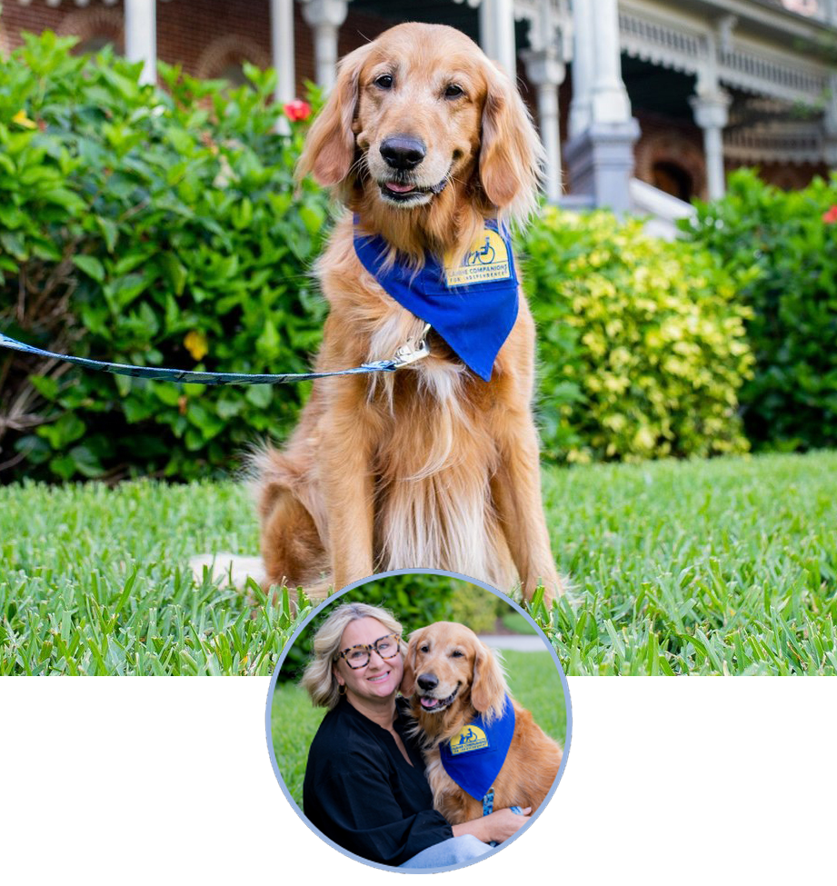 Photo of Barley and Lorne our Courthouse Dogs